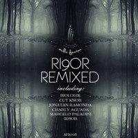 Thumbnail for the Ri9or - Remixed link, provided by host site