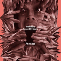 Thumbnail for the Planetary Assault Systems - Remixes link, provided by host site