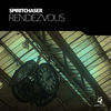 Thumbnail for the Spiritchaser - Rendezvous link, provided by host site