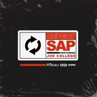 Thumbnail for the SAP - Repeat link, provided by host site