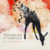 Thumbnail for the Trampled By Turtles - Repetition link, provided by host site