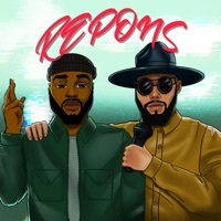 Thumbnail for the Collins - Repons link, provided by host site