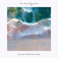 Thumbnail for the Indigoman - Reprise link, provided by host site