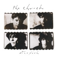 Thumbnail for the The Church - Reptile link, provided by host site