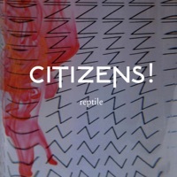 Thumbnail for the Citizens - Reptile link, provided by host site