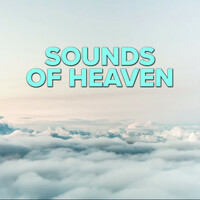 Thumbnail for the Renée Fleming - Requiem, Op. 48: Pie Jesu link, provided by host site