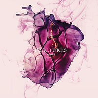 Thumbnail for the Fractures - Reset link, provided by host site
