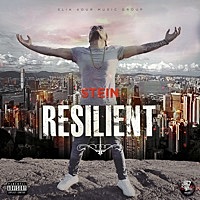 Thumbnail for the Stein - Resilient link, provided by host site