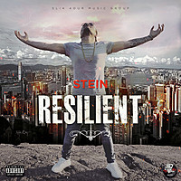 Thumbnail for the Stein - Resilient link, provided by host site