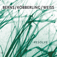 Thumbnail for the Berns - Resolve link, provided by host site