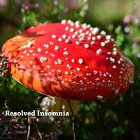 Thumbnail for the Dormir - Resolved Insomnia link, provided by host site