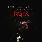 Thumbnail for the Birdman - Respek link, provided by host site