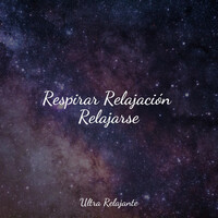 Thumbnail for the Sonidos de la Naturaleza Relajacion - Respirar Relajación Relajarse link, provided by host site