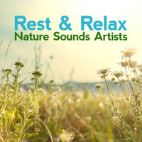 Thumbnail for the Rest & Relax Nature Sounds Artists - Rest & Relax Nature Sounds Artists link, provided by host site