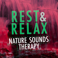 Thumbnail for the Rest & Relax Nature Sounds Artists - Rest & Relax: Nature Sounds Therapy link, provided by host site