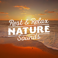 Thumbnail for the Rest & Relax Nature Sounds Artists - Rest & Relax Nature Sounds link, provided by host site