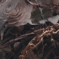 Thumbnail for the Beloved - Restricted link, provided by host site
