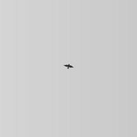 Thumbnail for the Kazukii - Return link, provided by host site