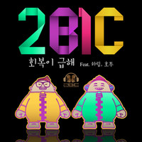 Thumbnail for the 2BiC - Return link, provided by host site