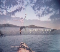 Thumbnail for the David Wilcox - Reverie link, provided by host site
