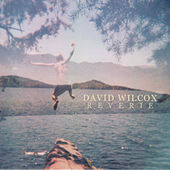 Thumbnail for the David Wilcox - Reverie link, provided by host site