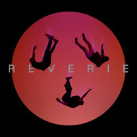 Thumbnail for the Flawes - Reverie link, provided by host site