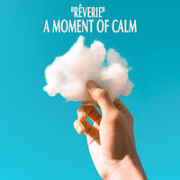 Thumbnail for the Johann Sebastian Bach - "Rêverie" - A Moment of Calm link, provided by host site