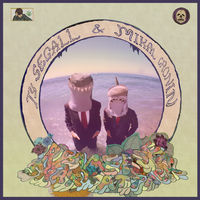 Thumbnail for the Ty Segall - Reverse Shark Attack link, provided by host site
