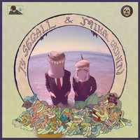 Thumbnail for the Ty Segall - Reverse Shark Attack link, provided by host site