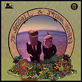 Thumbnail for the Ty Segall - Reverse Shark Attack link, provided by host site