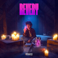 Thumbnail for the Electric Callboy - Revery link, provided by host site