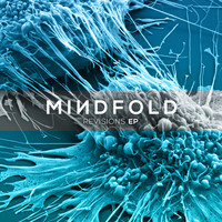 Image of Mindfold linking to their artist page due to link from them being at the top of the main table on this page