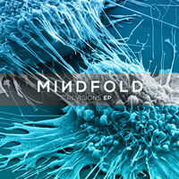 Thumbnail for the Mindfold - Revisions link, provided by host site