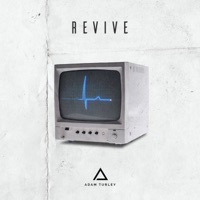 Thumbnail for the Adam Turley - Revive link, provided by host site