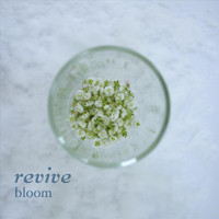 Thumbnail for the Bloom - Revive link, provided by host site