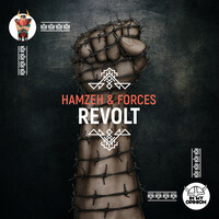 Thumbnail for the HamzeH - Revolt link, provided by host site