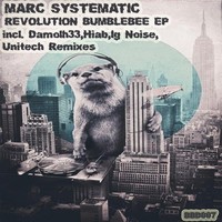 Thumbnail for the Marc Systematic - Revolution Bumblebee link, provided by host site