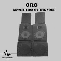 Thumbnail for the CRC - Revolution Of The Soul link, provided by host site