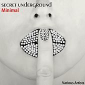 Thumbnail for the Luciano Pardini - Revolver (Minimal Mix) link, provided by host site
