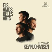 Thumbnail for the Els Amics De Les Arts - Reykjavík link, provided by host site