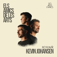 Thumbnail for the Els Amics De Les Arts - Reykjavík link, provided by host site