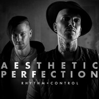 Thumbnail for the Aesthetic Perfection - Rhythm + Control link, provided by host site