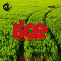 Thumbnail for the Oscar Gs - Rice link, provided by host site