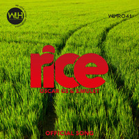 Thumbnail for the Oscar Gs - Rice link, provided by host site
