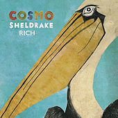 Thumbnail for the Cosmo Sheldrake - Rich (Radio Edit) link, provided by host site