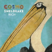 Thumbnail for the Cosmo Sheldrake - Rich (Radio Edit) link, provided by host site