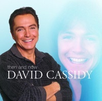 Thumbnail for the David Cassidy - Ricky's Tune link, provided by host site