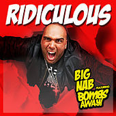 Thumbnail for the Big Nab - Ridiculous link, provided by host site