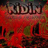 Thumbnail for the DaVinci - Ridin' link, provided by host site
