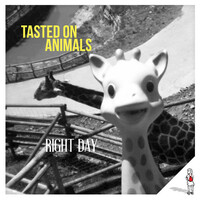 Thumbnail for the Tasted on Animals - Right Day link, provided by host site